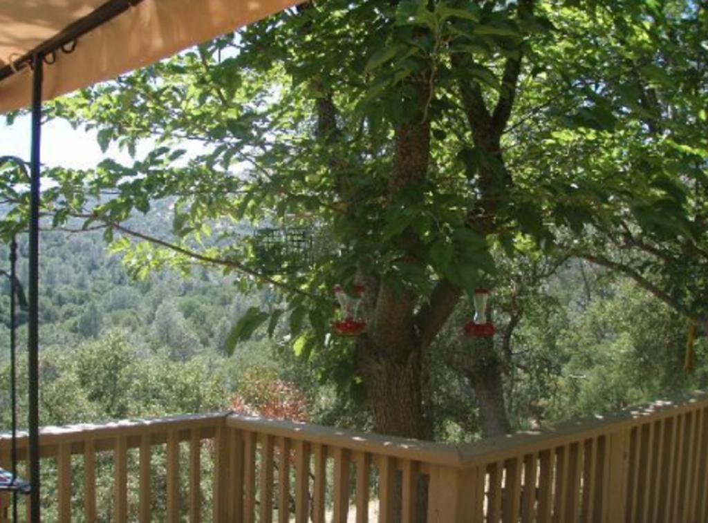 Yosemite Bed And Breakfast Mariposa Exterior foto